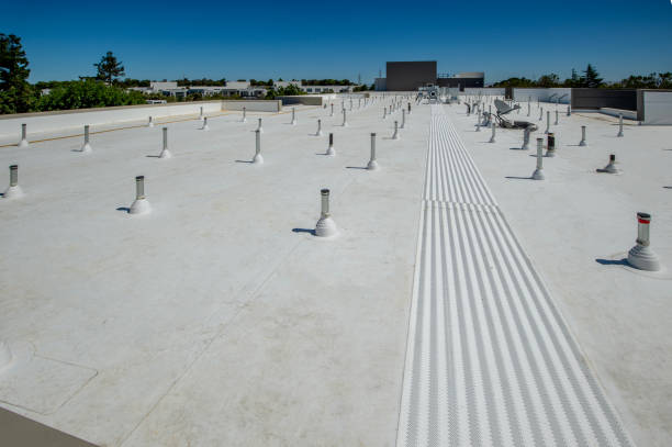 Best Asphalt Shingles Roofing  in Avonmore, PA